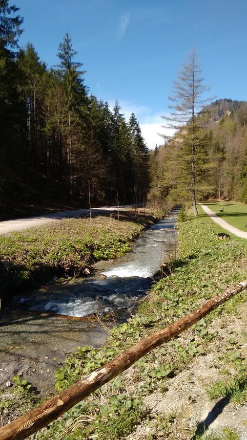 Schwaigeralm Hotel Kreuth Luaran gambar